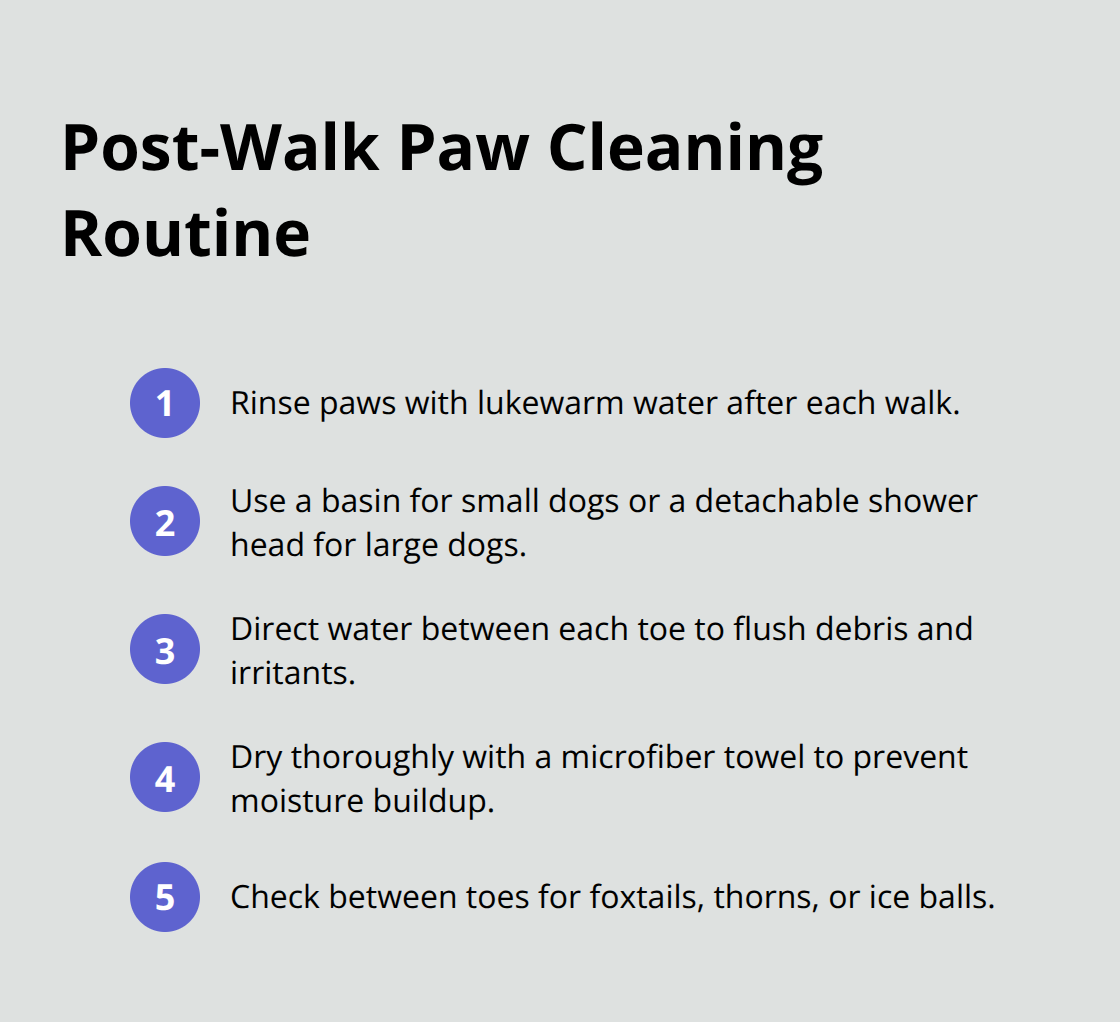 Compact ordered list of steps to clean a dog’s paws after a walk. - dog paw care