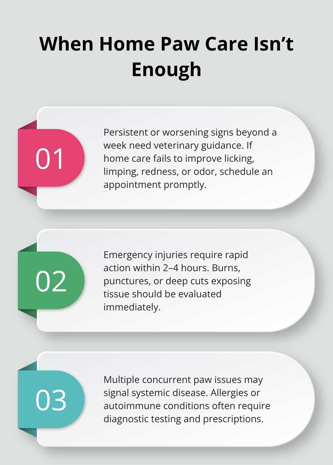 Three key situations that require veterinary care for dog paw problems.