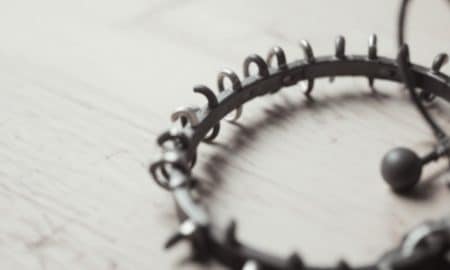 How to Use a Dog Prong Collar with Rubber Tips Safely