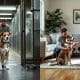 Dog Rescue Success Stories: Incredible Journeys From Rescue to Home