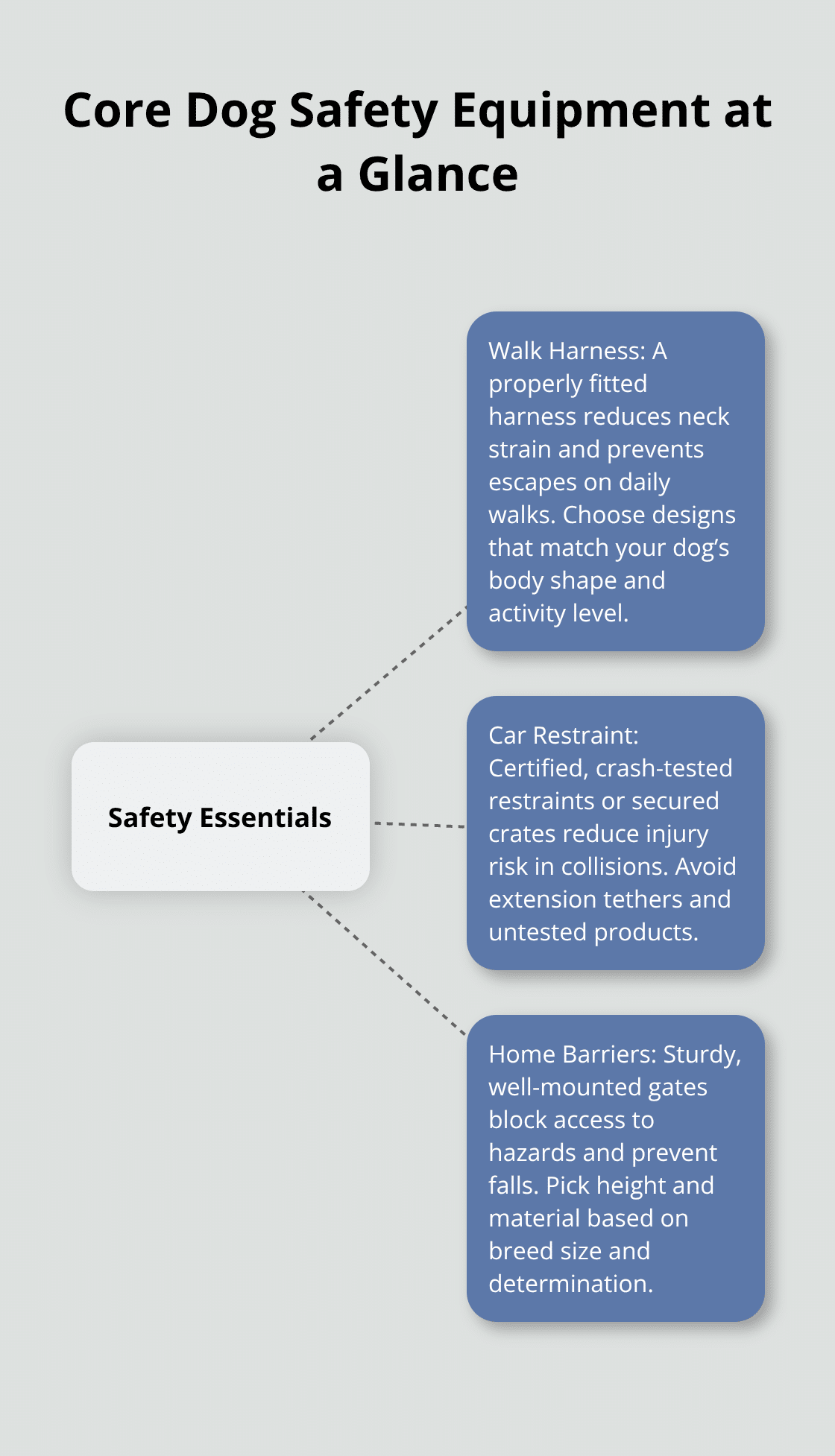 How to Choose the Right Dog Safety Equipment – The Dogington Post