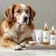 How to Choose the Best Dog Skin Care Products