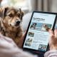 Dog Welfare News: Updates and Insights for Responsible Owners
