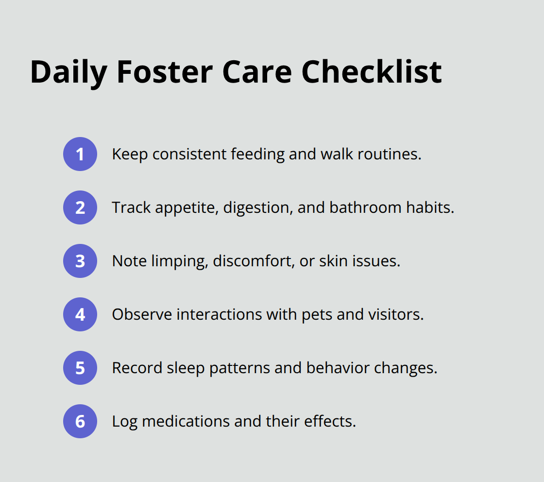 Core daily tasks for foster parents that support adoption success - fostering to adopt