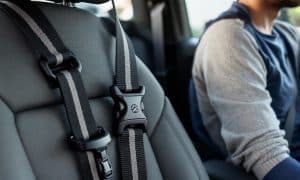 How to Choose the Best Free Dog Safety Belt for Your Car