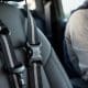 How to Choose the Best Free Dog Safety Belt for Your Car