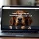 Funny Dog Articles That Will Make You Laugh Out Loud