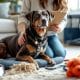 How to Foster Dogs: A Practical Guide to Short-Term Care