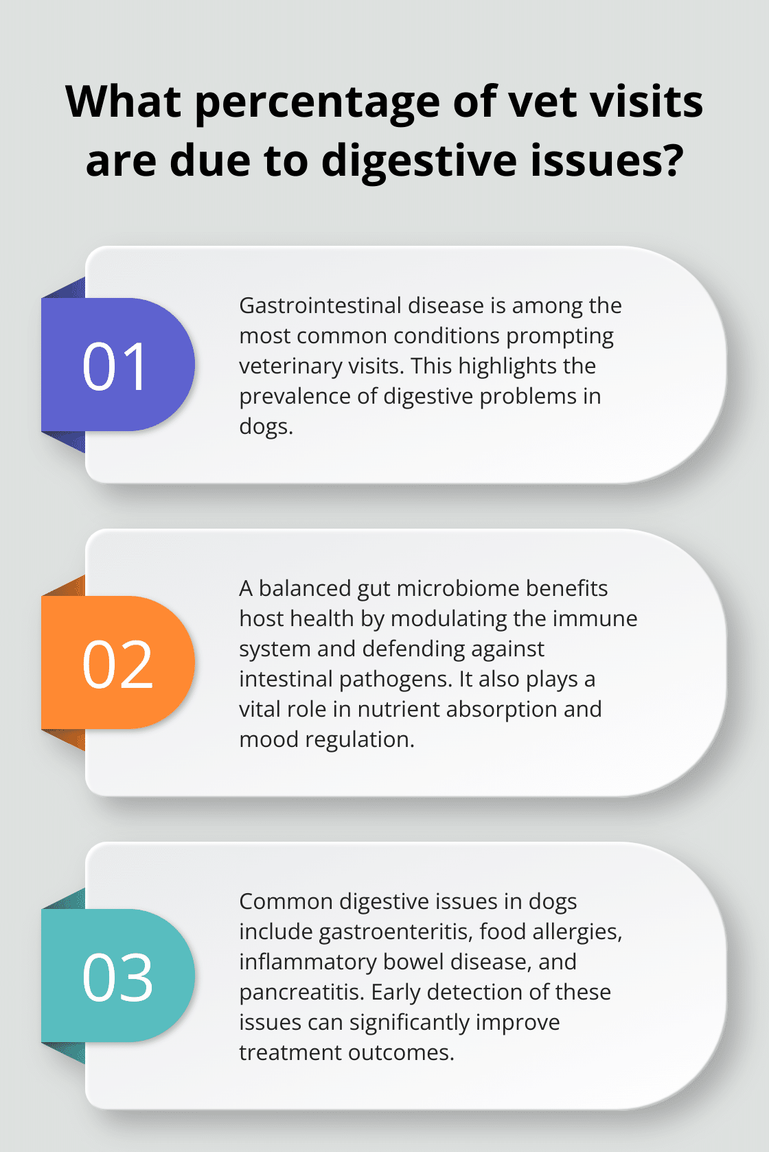 Improving Your Dog’s Digestive Health with the Right Food – The ...