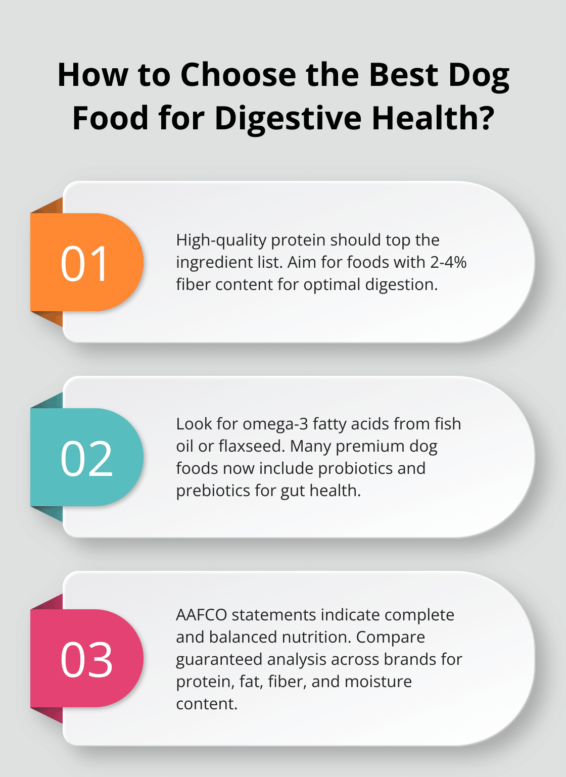 Improving Your Dog’s Digestive Health with the Right Food – The ...