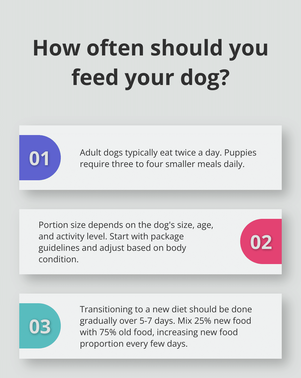 Improving Your Dog’s Digestive Health with the Right Food – The ...
