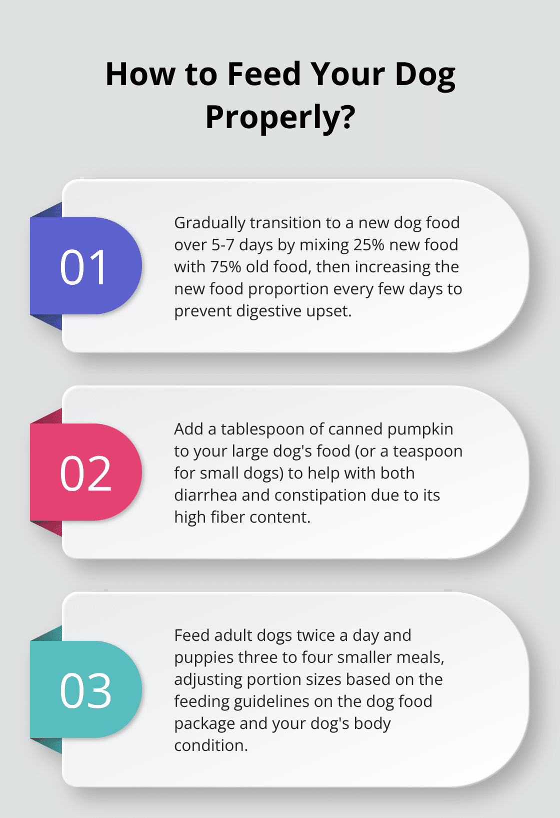 Improving Your Dog’s Digestive Health with the Right Food – The ...