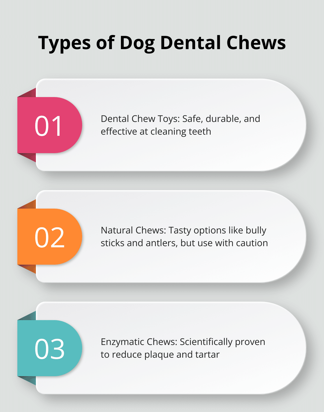 How to Choose Dog Chews for Better Dental Health – The Dogington Post