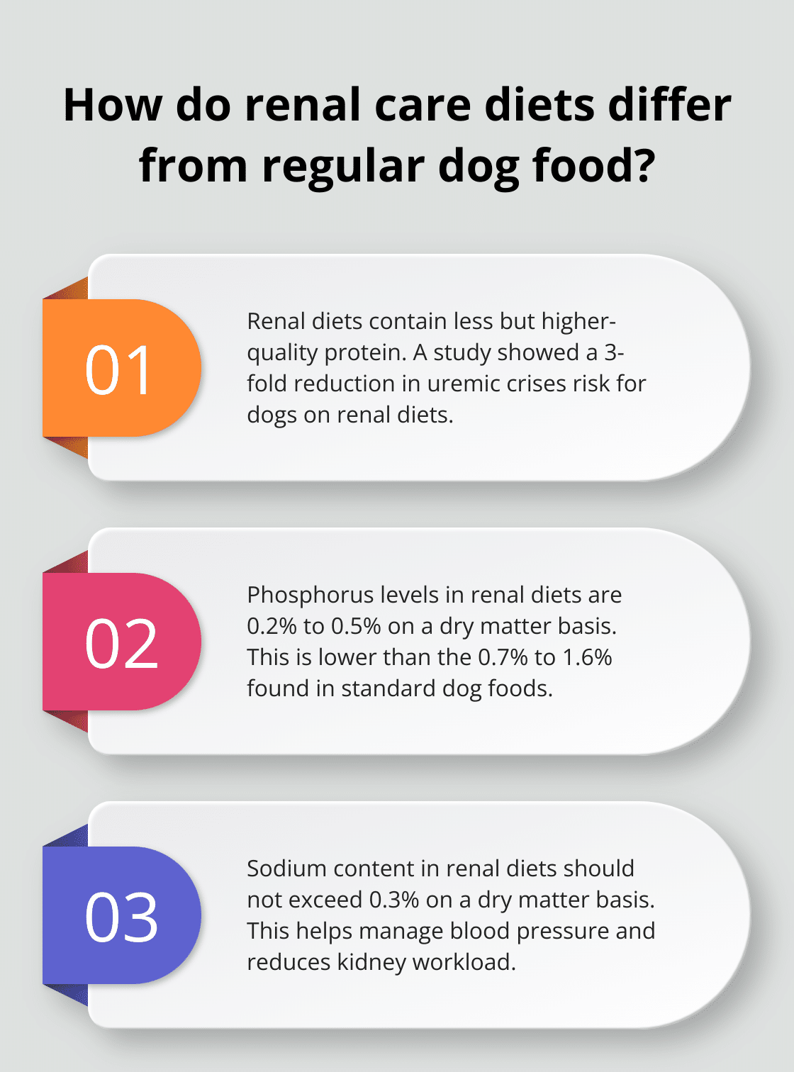 How to Choose the Best Dog Food for Renal Care – The Dogington Post