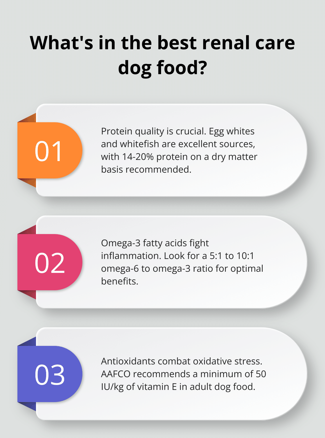Fresh Look at How To Choose The Best Dog Food For Renal Care
