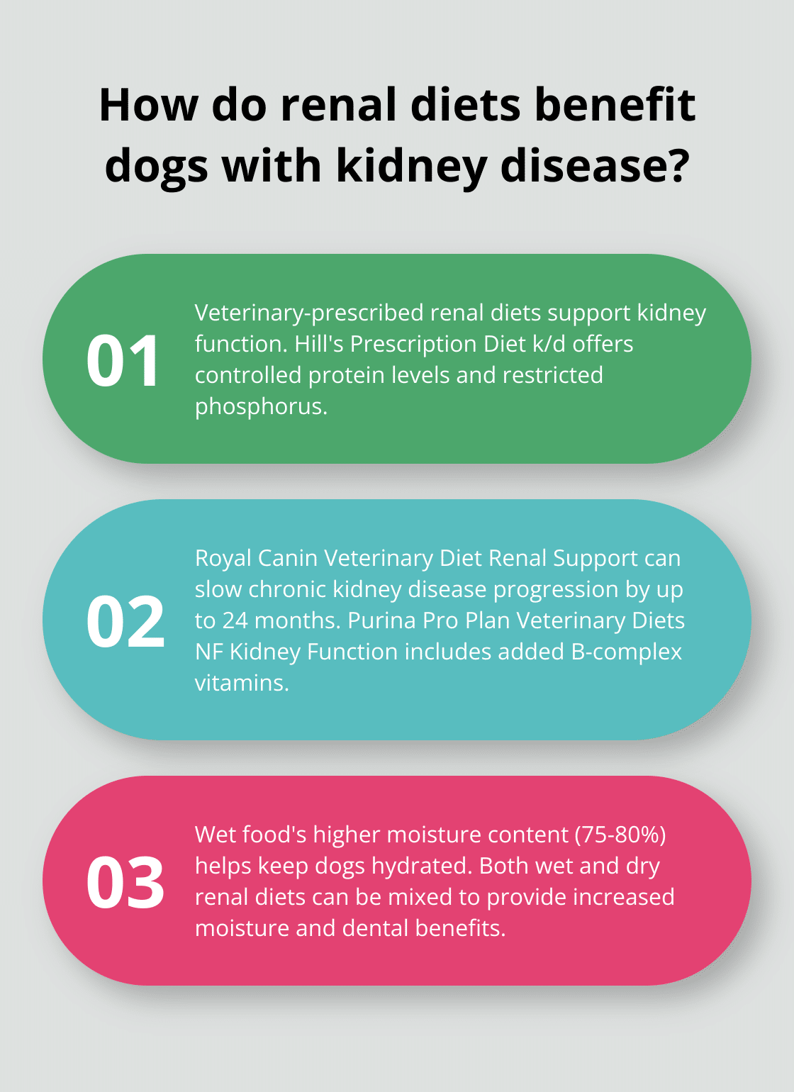 How to Choose the Best Dog Food for Renal Care – The Dogington Post