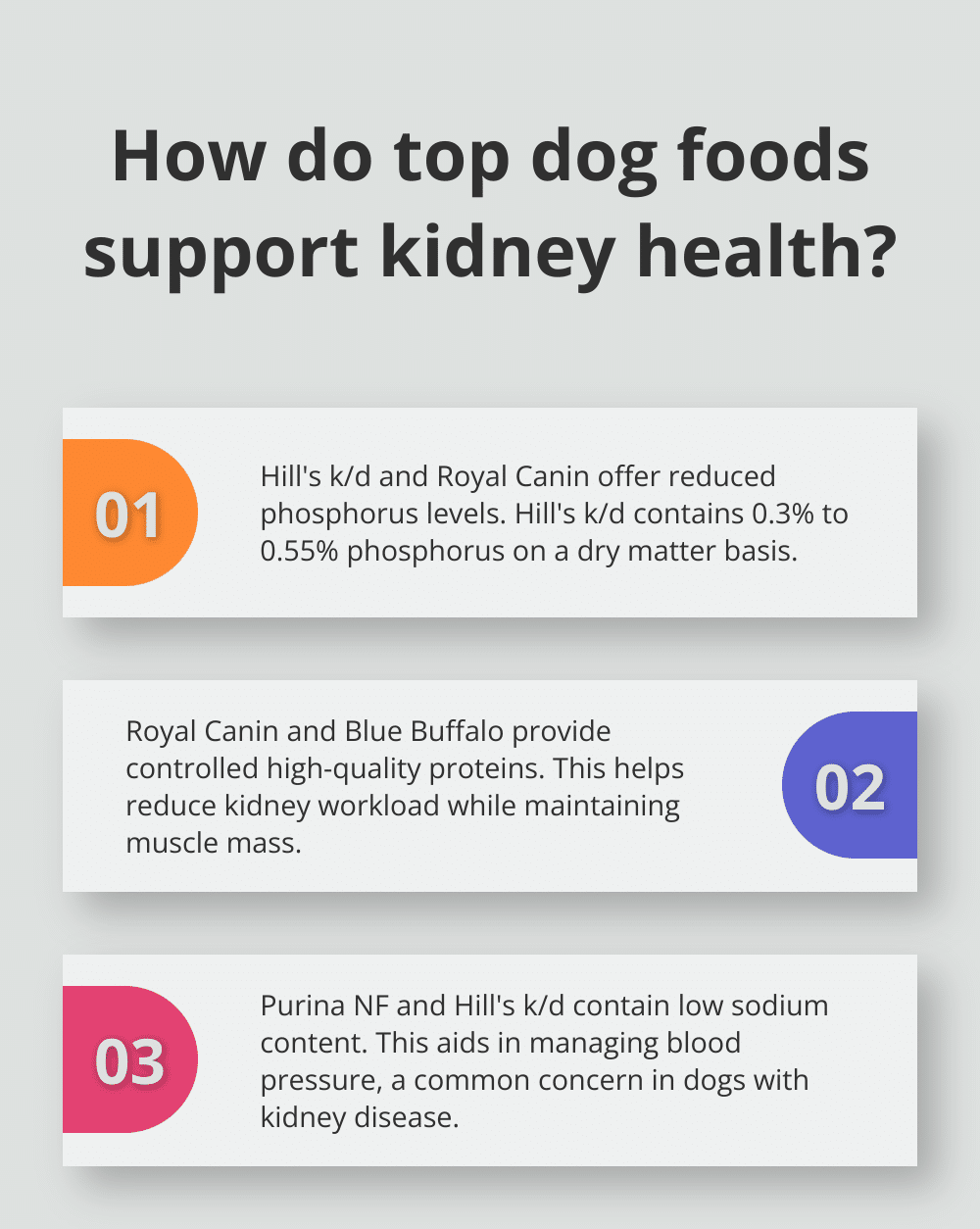 Best Dog Food for Kidney Health: Vet-Approved Options – The Dogington Post