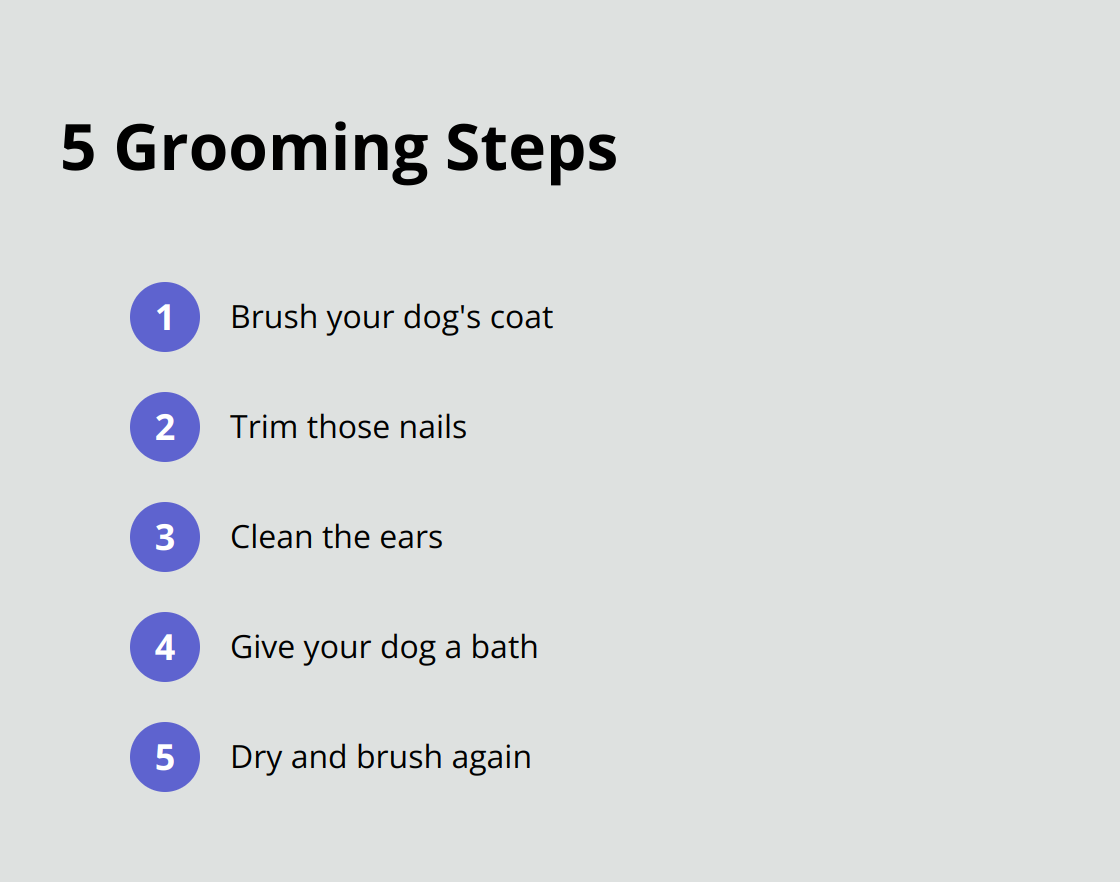 How to Groom Your Dog Like a Pro: Essential Tips – The Dogington Post
