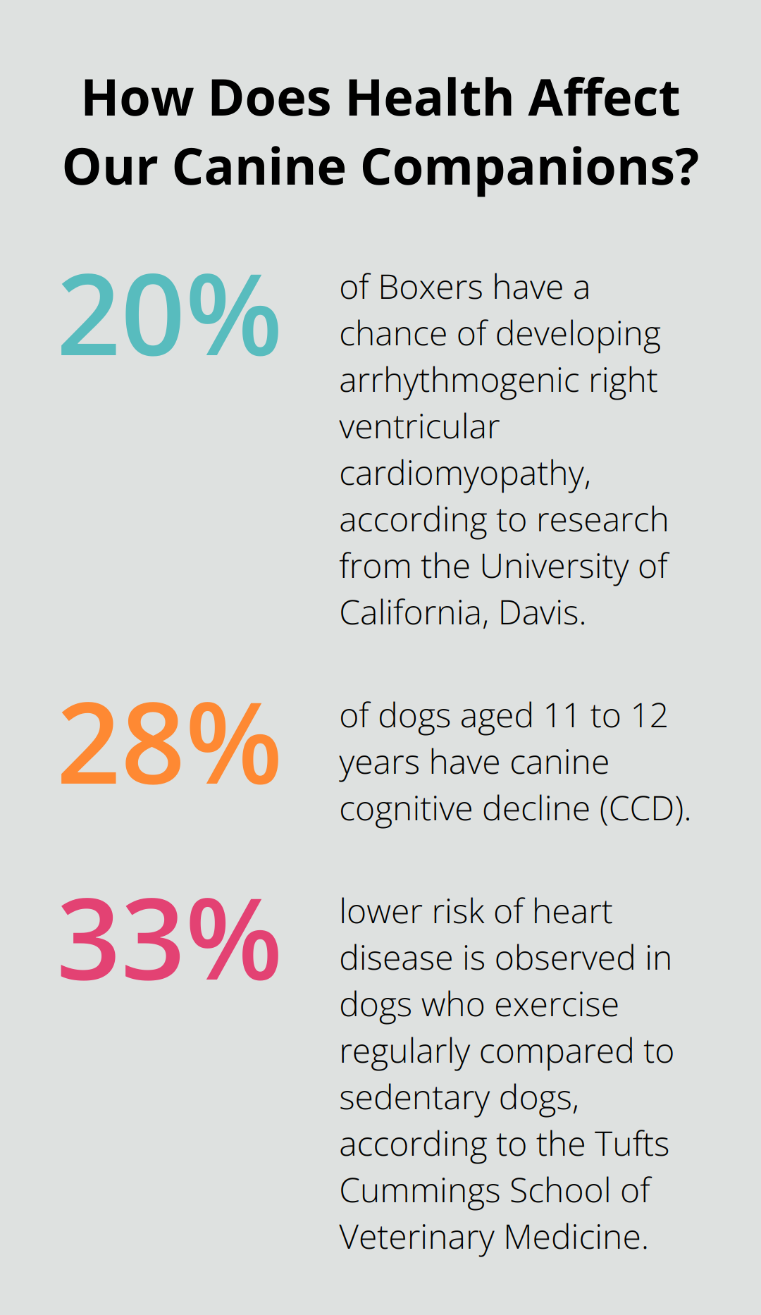 How to Support Your Dog’s Heart Health with Supplements – The Dogington ...