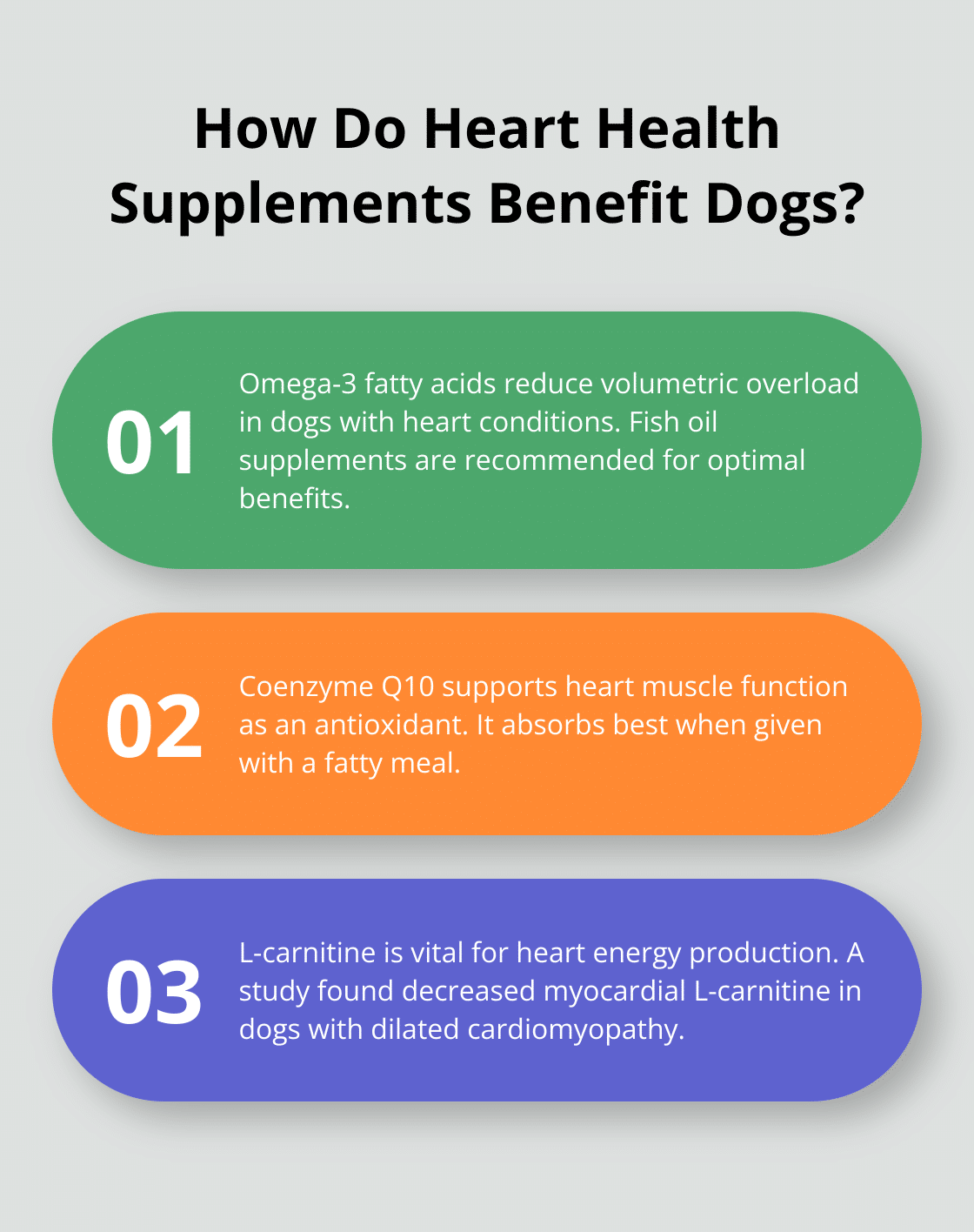 jarrow l carnitine liquid Your Pet Nutrition added a new photo main image 1