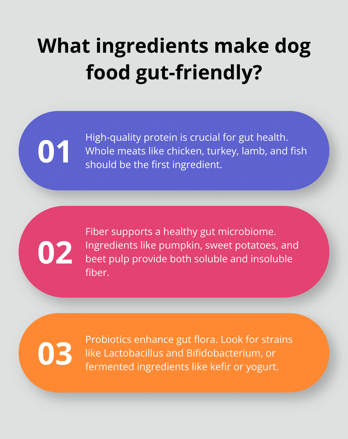 How to Choose the Best Gut Health Dog Food – The Dogington Post