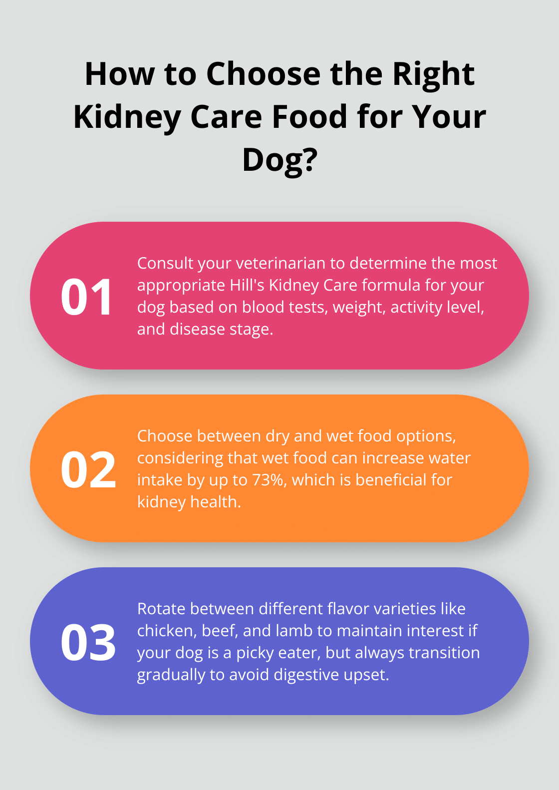 How to Choose Hills Kidney Care Dog Food for Your Pet – The Dogington Post