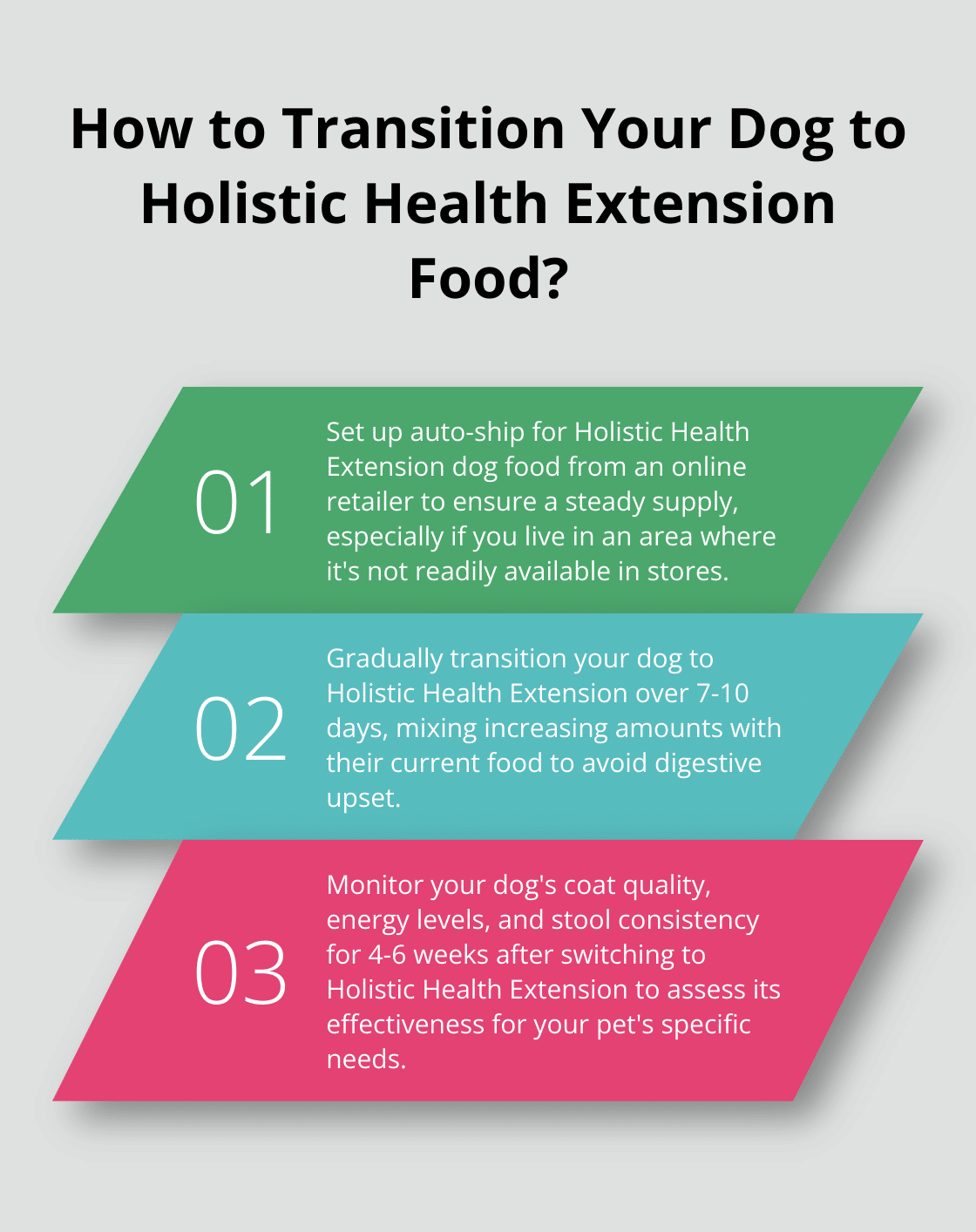 Holistic Health Extension: Best Dog Food for Wellness? – The Dogington Post