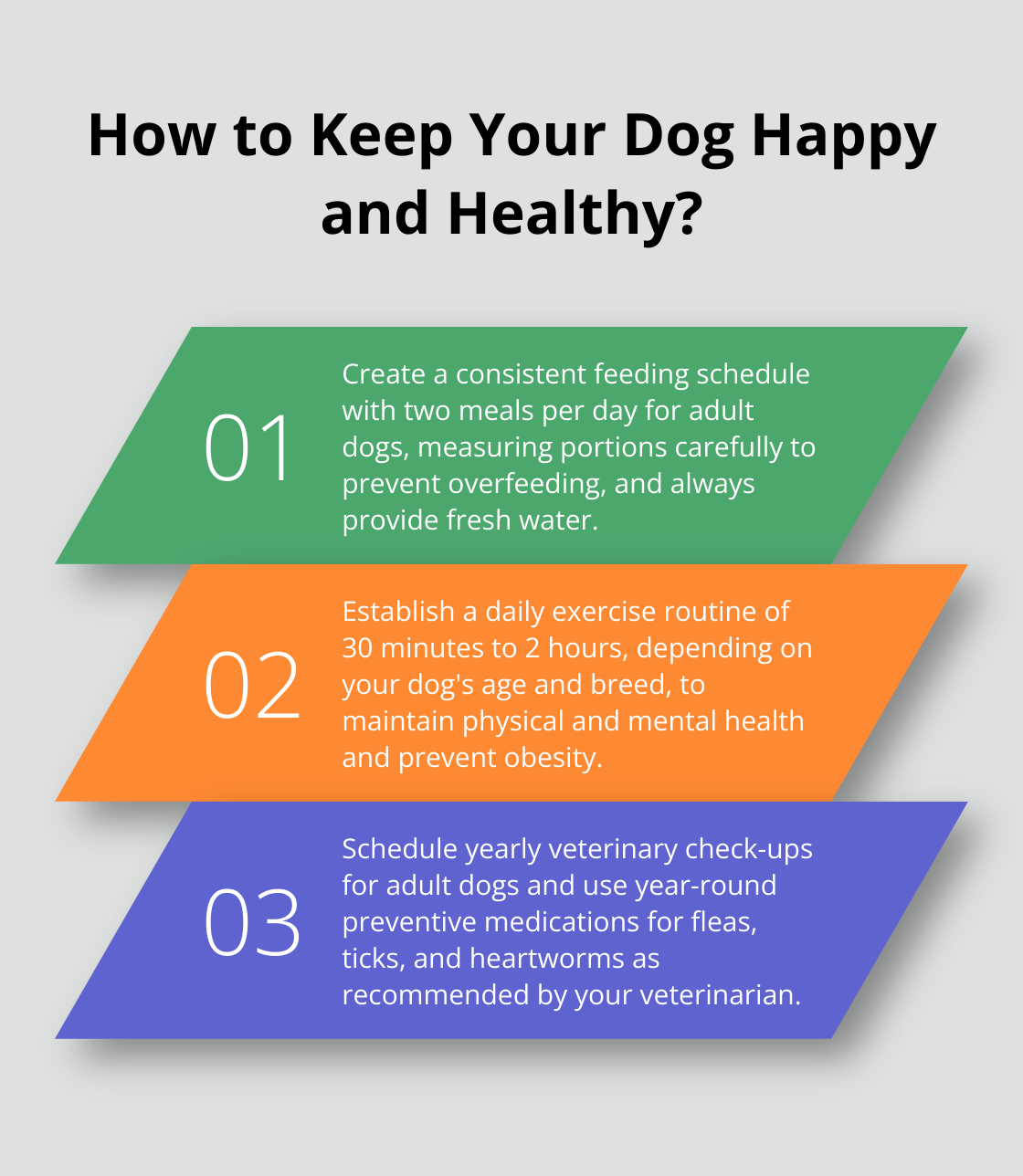 Infographic: How to Keep Your Dog Happy and Healthy? - how to take care of a dog