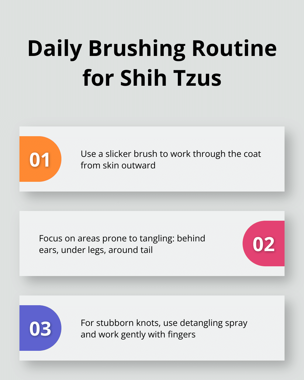 How to Groom Your Shih Tzu: Essential Tips – The Dogington Post - Long Coat Care Routine For Show Shih Tzus