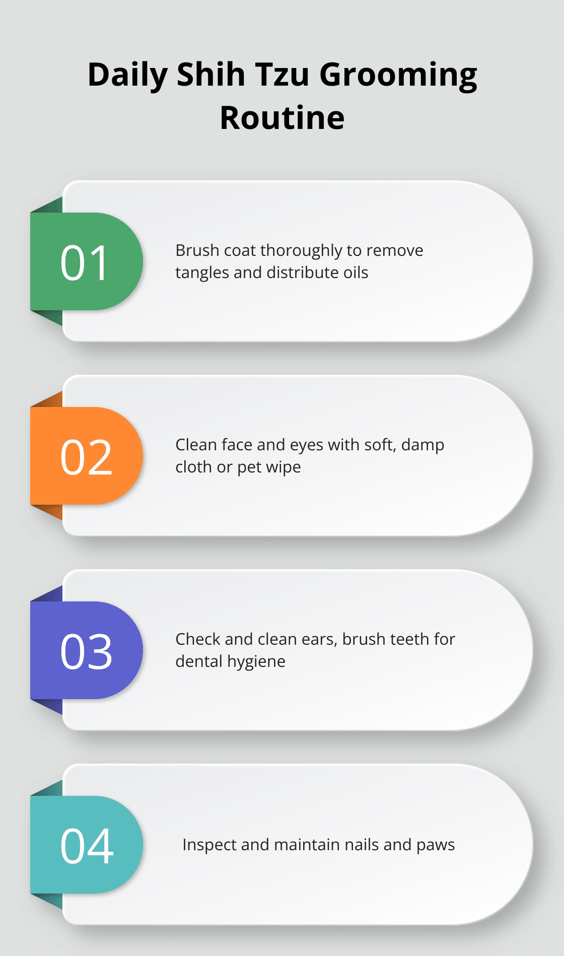 How to Groom Your Shih Tzu: Essential Tips – The Dogington Post