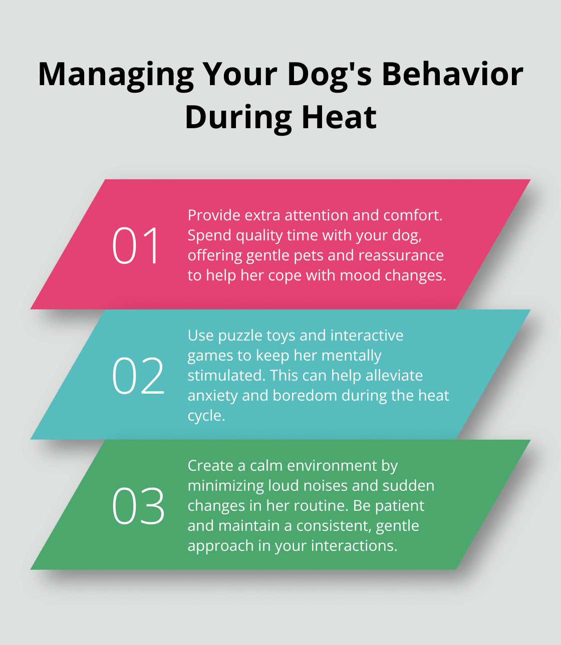 How to Care for Your Dog in Heat: Essential Tips – The Dogington Post