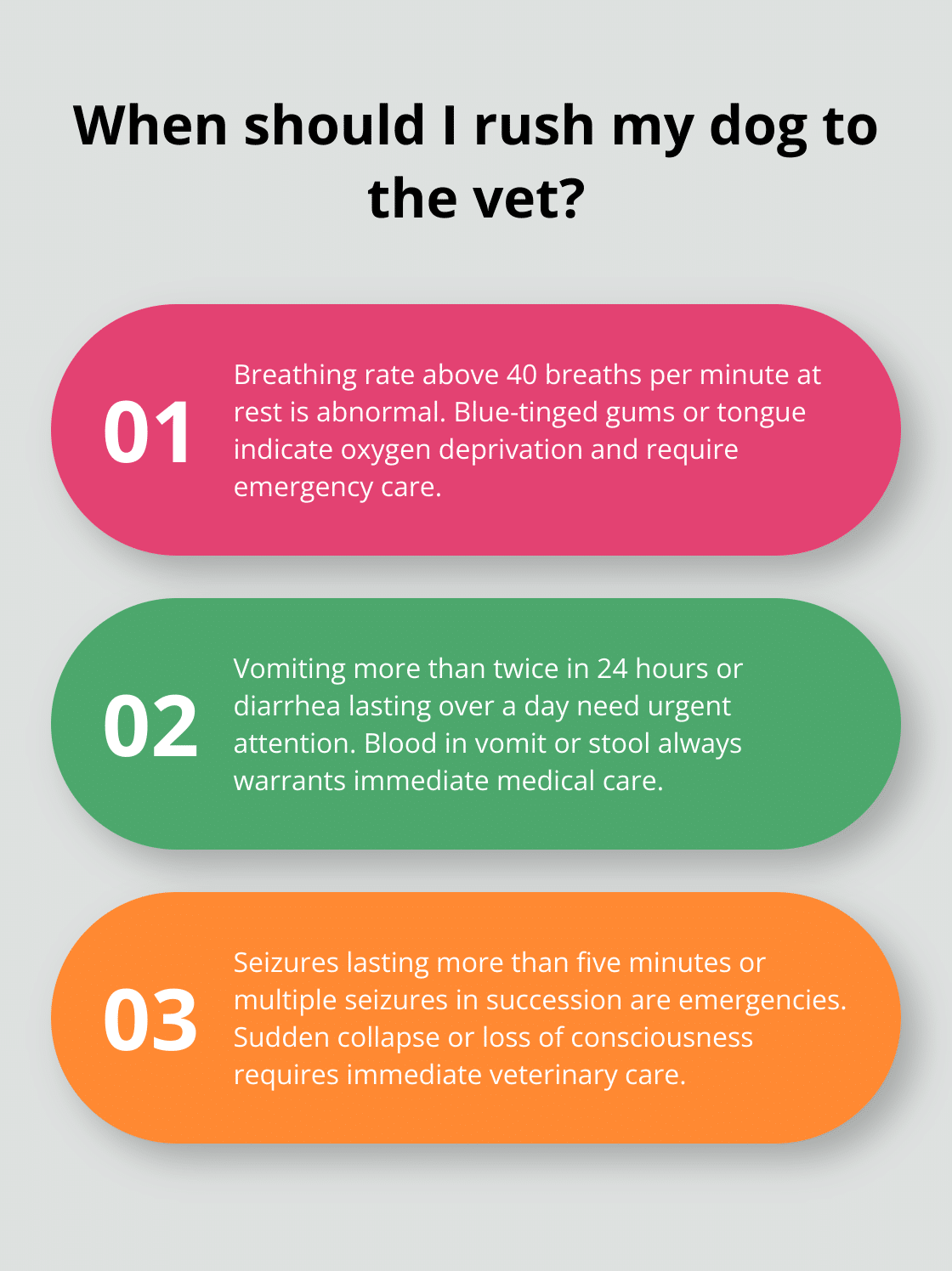 When to Take Your Dog to Urgent Care – The Dogington Post