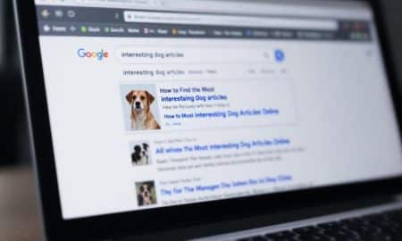 How to Find the Most Interesting Dog Articles Online