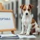 How to Find Jack Russell Terrier Puppy Adoption Options