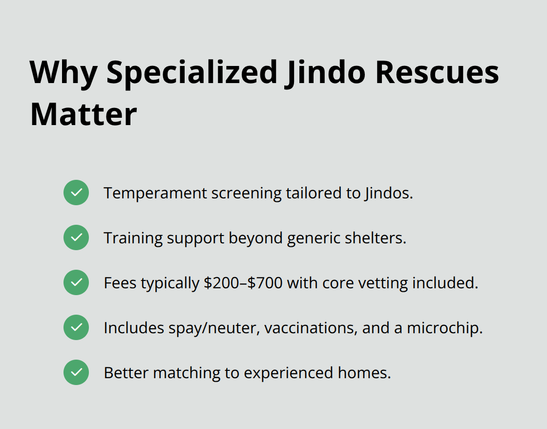 Benefits of adopting through specialized Korean Jindo rescues in the United States. - jindo puppy adoption