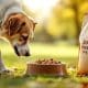 Joint Health Dog Foods: Top Picks to Keep Paws Moving