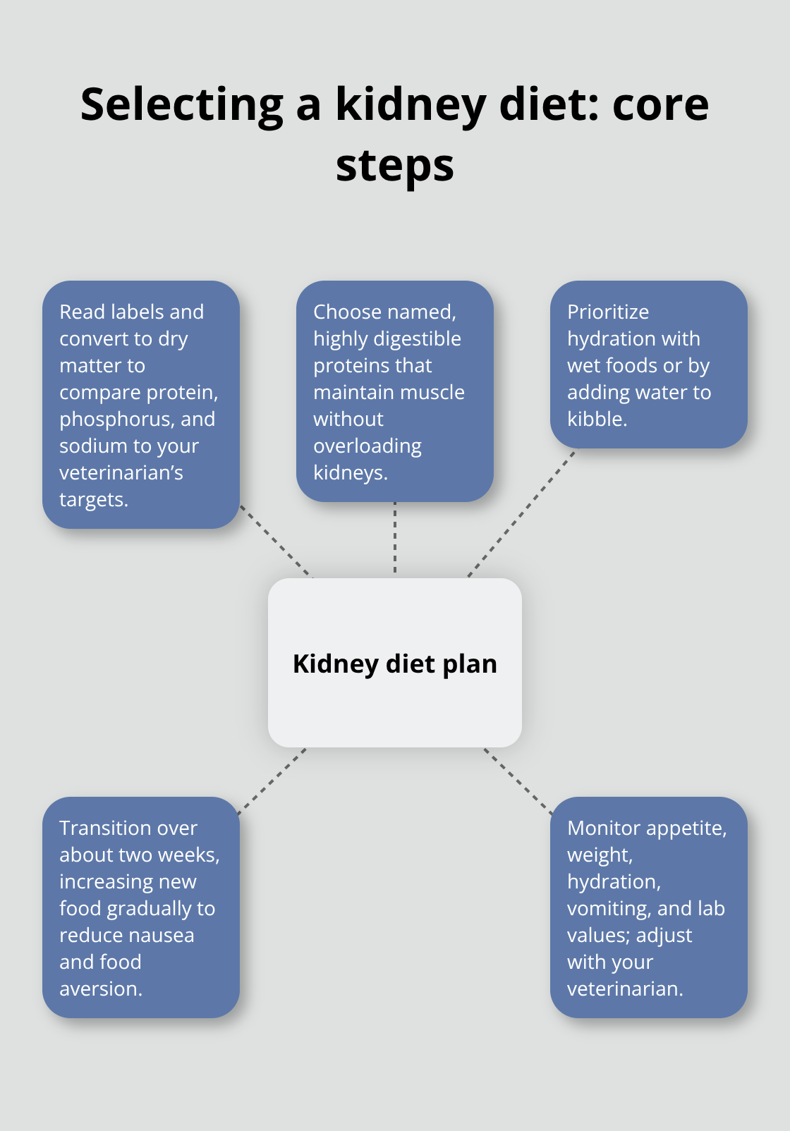 Hub-and-spoke of steps to choose and implement a kidney diet - kidney care dog food
