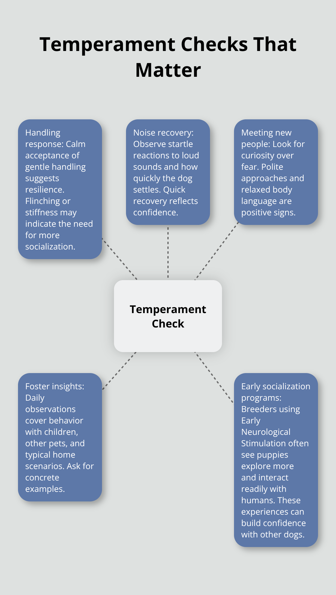 Central temperament evaluation areas for Miniature Schnauzer puppies and dogs.
