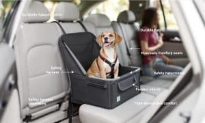 How to Choose the Perfect PetSafe Happy Ride Dog Safety Seat