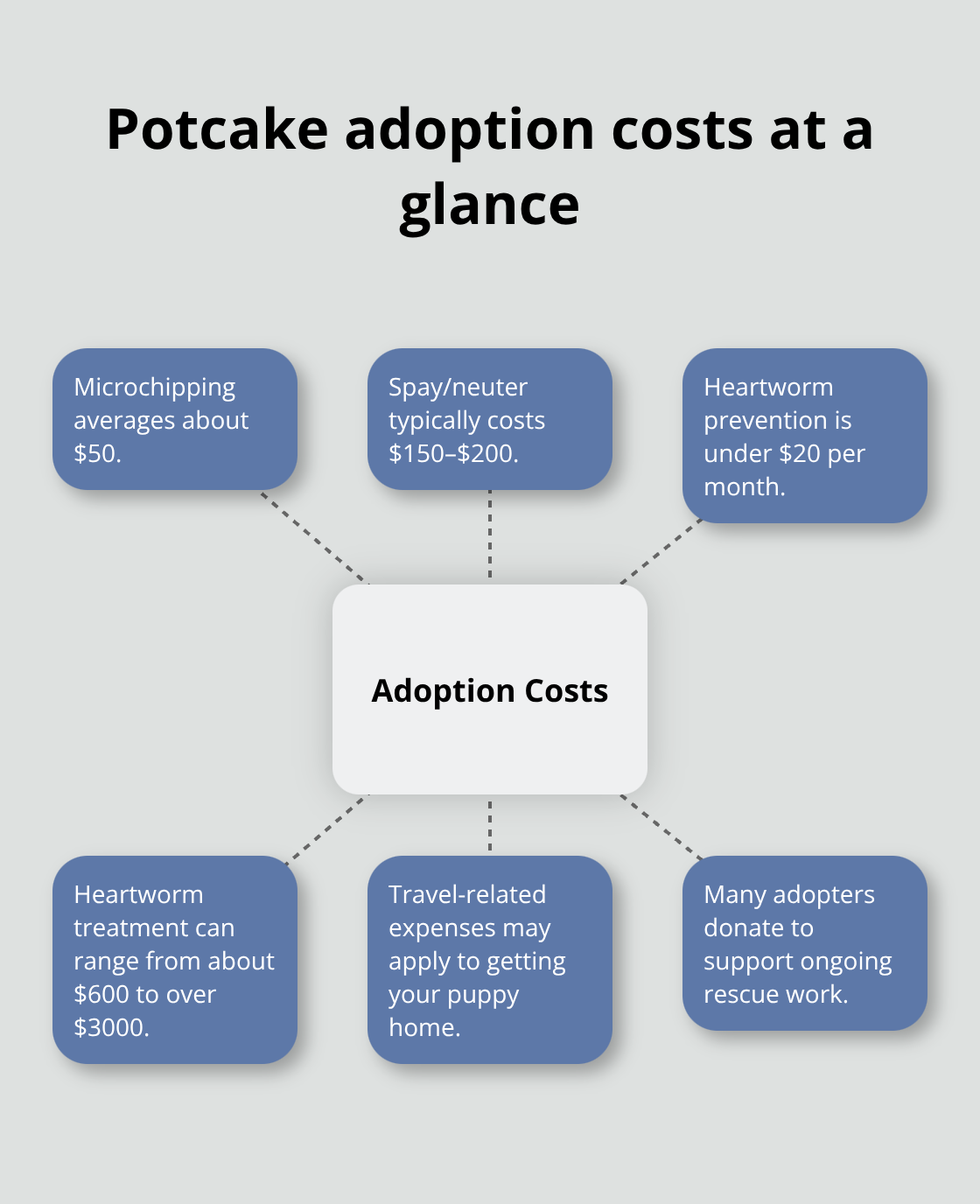 Visual of common potcake adoption-related expenses for U.S. adopters - potcake puppy adoption
