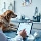 Preventive Health Checks Dogs: Staying Ahead of Hidden Ailments