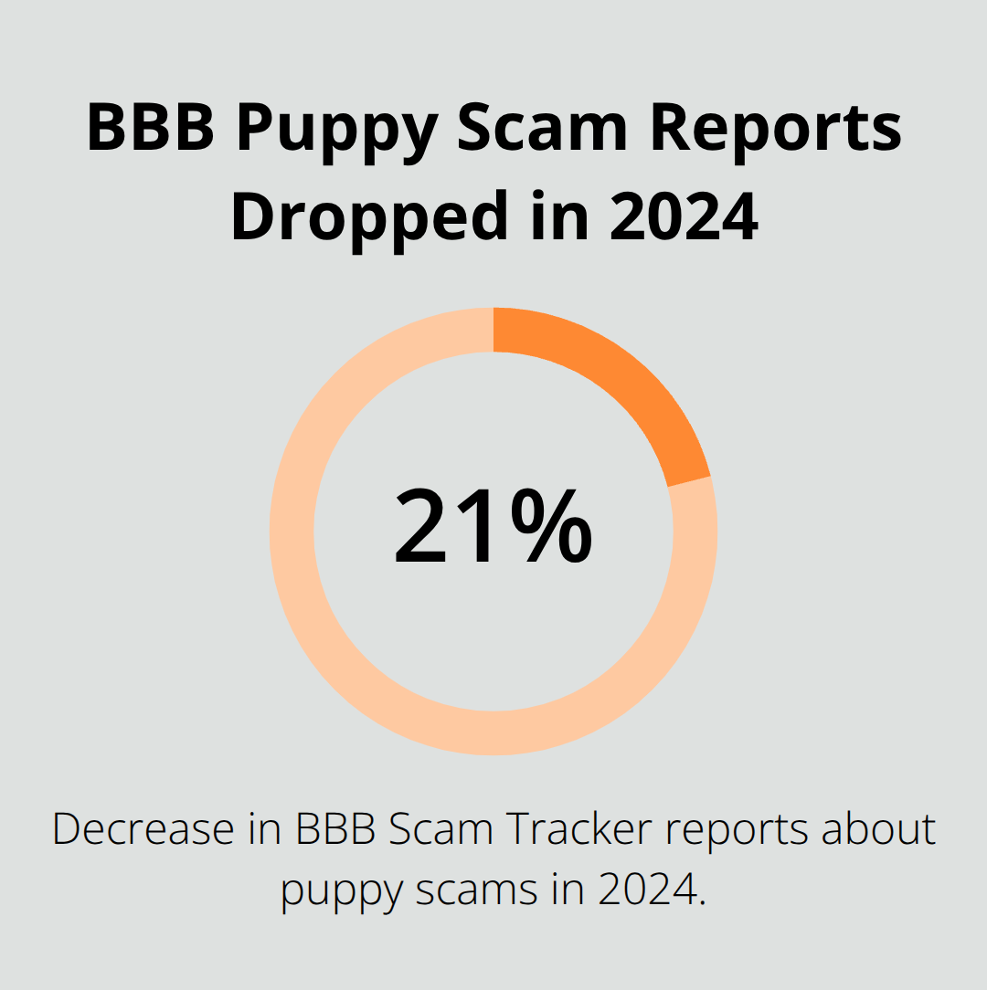 How to Avoid Puppy Adoption Scams