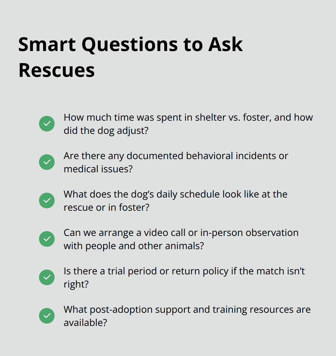 Checklist of key questions to ask shelters and rescues before adopting a Puppy Bowl pup. - puppy bowl 2024 adoption list