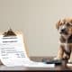 How Much Does Puppy Bowl Adoption Cost?