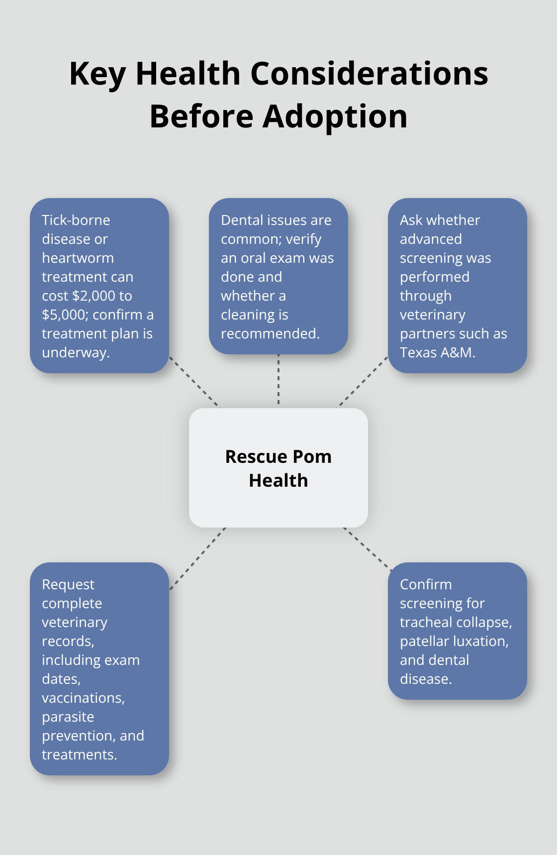Hub-and-spoke diagram of essential health checks for rescue Pomeranians - puppy pomeranian for adoption