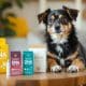 How to Choose the Best Rescue Dog DNA Test