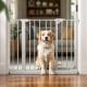 How to Choose the Best Safety 1st Dog Gate