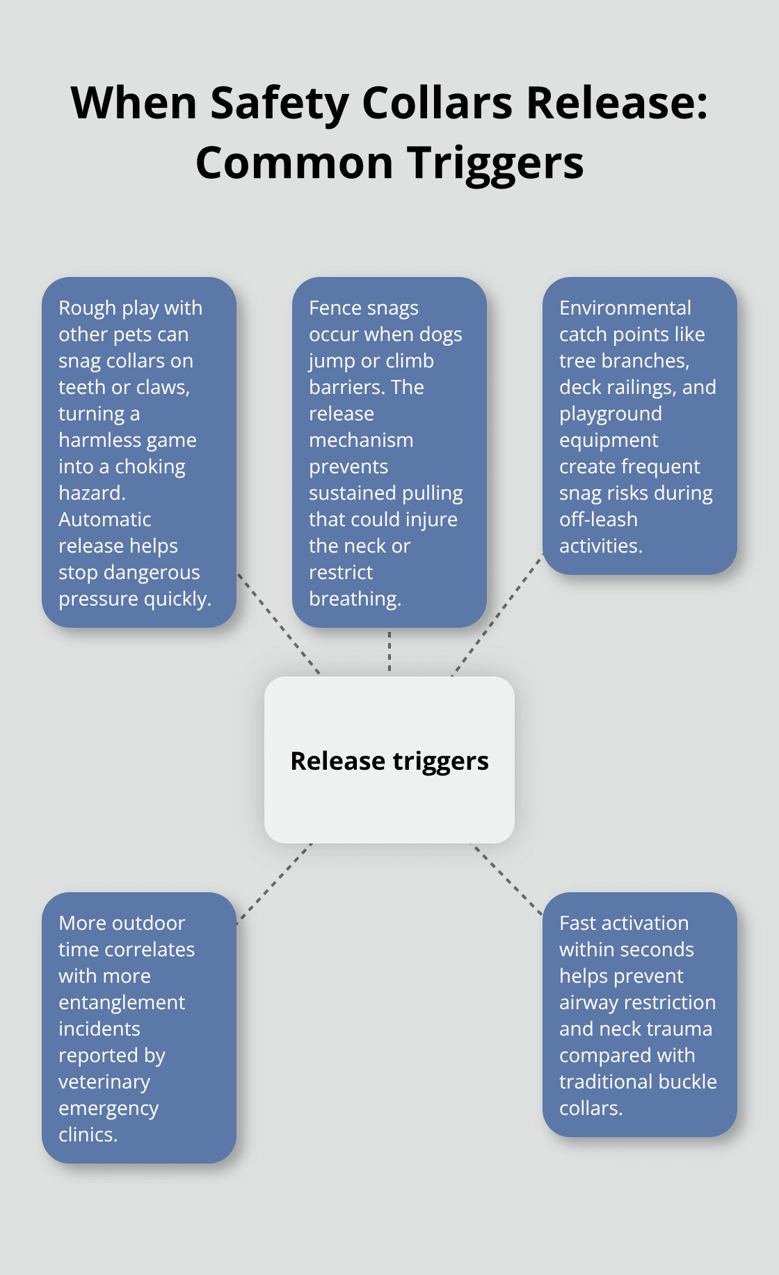 How to Choose a Safety Release Dog Collar for Your Pet